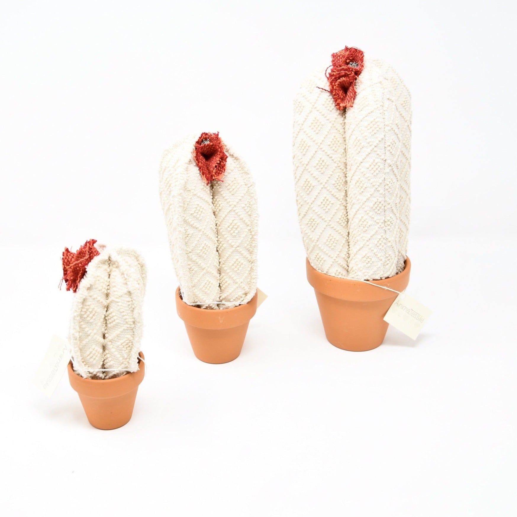Cactus in tessuto panna